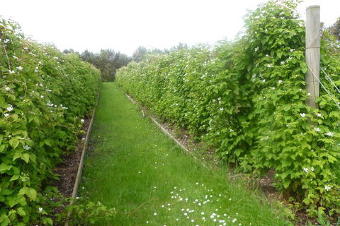 Karingal Homestead B & B - Accommodation Broome 4