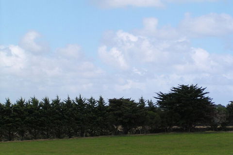 Karingal Homestead B & B - Accommodation Broome 5