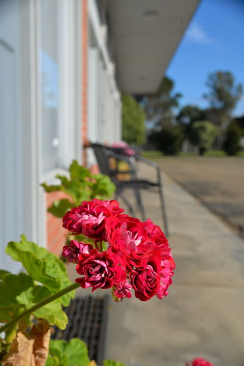 Ship Inn Motel - Accommodation Broome 1