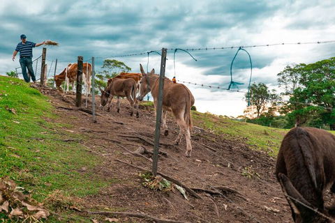 Whispering Valley Cottage Retreat - Accommodation Broome 5