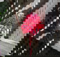 Latania Luxury Villas - Accommodation Broome