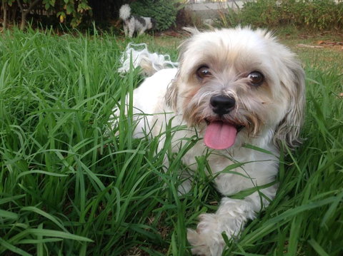 A Country Barn Retreat - Accommodation Broome 3