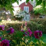 A Country Barn Retreat - Accommodation Broome 0