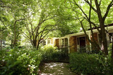 Leura Camellias - Accommodation Broome 0
