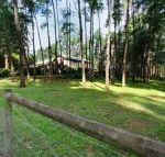 Fernglade on Menzies - Accommodation Broome