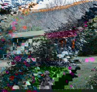 Mystic View Cottage Wandiligong - Accommodation Broome