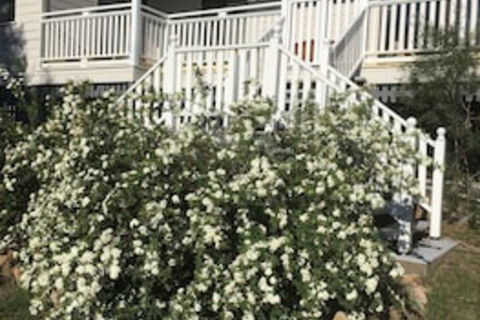 Glen Aplin Gardens B&B - Accommodation Broome 0