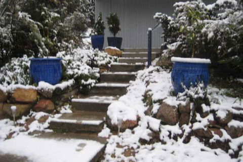 Glen Aplin Gardens B&B - Accommodation Broome 2