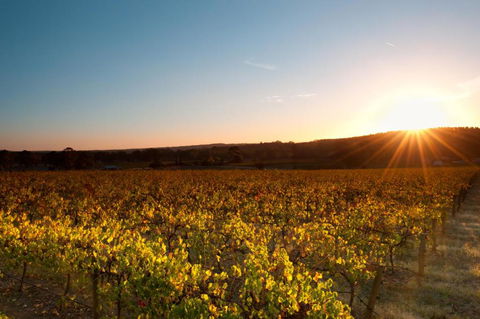 Linfield Cottage - Accommodation Broome 5