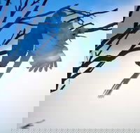 Tenterfield Cottage Holiday House