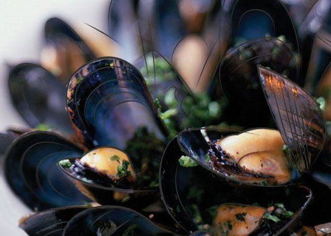 Peppermint Bay - Bar, Dining And Terrace - Accommodation Broome 6