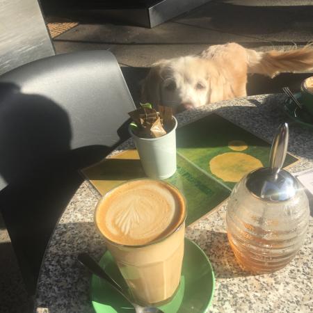 Espresso Koo - Accommodation Broome 0