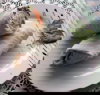 Cafe Lazat - Accommodation Broome