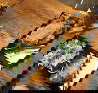 Two Little Owls Cafe - Accommodation Broome