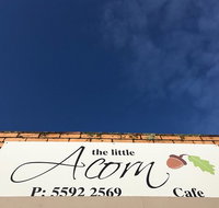 The Little Acorn
