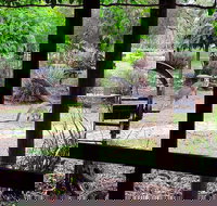 The Wander Inn - Accommodation Broome