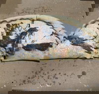 Little Neros Pizza  Pasta - Accommodation Broome