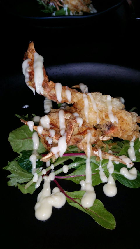 Chilli Orange - Accommodation Broome 5