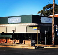 Planted Cootamundra