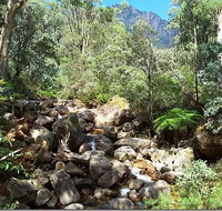 Star Chinese Restaurant - Accommodation Broome