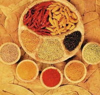 Tehzeeb Indian and Australian Restaurant - Accommodation Broome