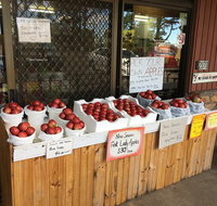 The Pines Orchard