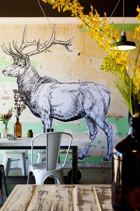 Elk Espresso - Accommodation Broome 0