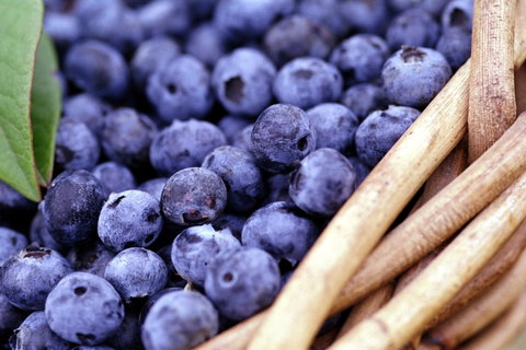 Drum Drum Blueberry Farm - Accommodation Broome 0