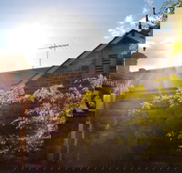 fermentAsian Restaurant - Accommodation Broome