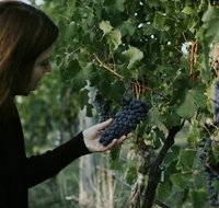 Rowlee Vine To Table Experience - Accommodation Broome