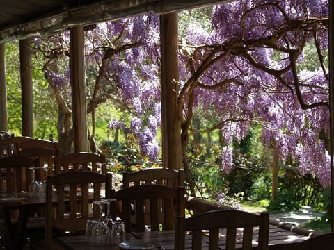 Skillogalee Winery & Restaurant - Accommodation Broome 2