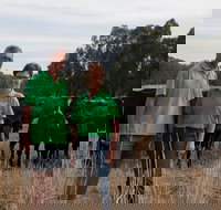 Milawa Organic Beef - Accommodation Broome