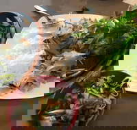 Thien An - Accommodation Broome