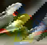 The Lillipad Cafe - Accommodation Broome