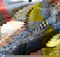 Thomas Holt Roasters - Accommodation Broome