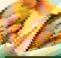 Mrs. Fields - Highpoint - Maribyrnong - Accommodation Broome