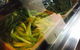 Thaila Thai - thumb 0