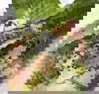 Ryan's Gourmet Kitchen - Accommodation Broome