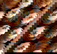 Lune Croissanterie - Fitzroy - Accommodation Broome