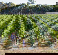 Weathercraft Wines - Accommodation Broome