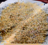 Man-O-Salwa - Clayton - Accommodation Broome