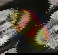 Crowded House - Accommodation Broome