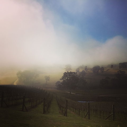 Dryridge Estate - Accommodation Broome 1