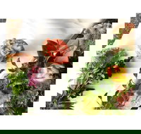 La Sangria Bar - Accommodation Broome