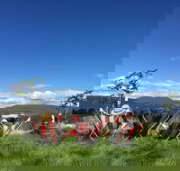 Red Feet Wines - Accommodation Broome