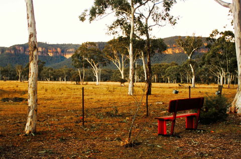 The Megalong Valley Tearooms - Accommodation Broome 0