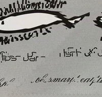 Williamstown Mussels - Accommodation Broome