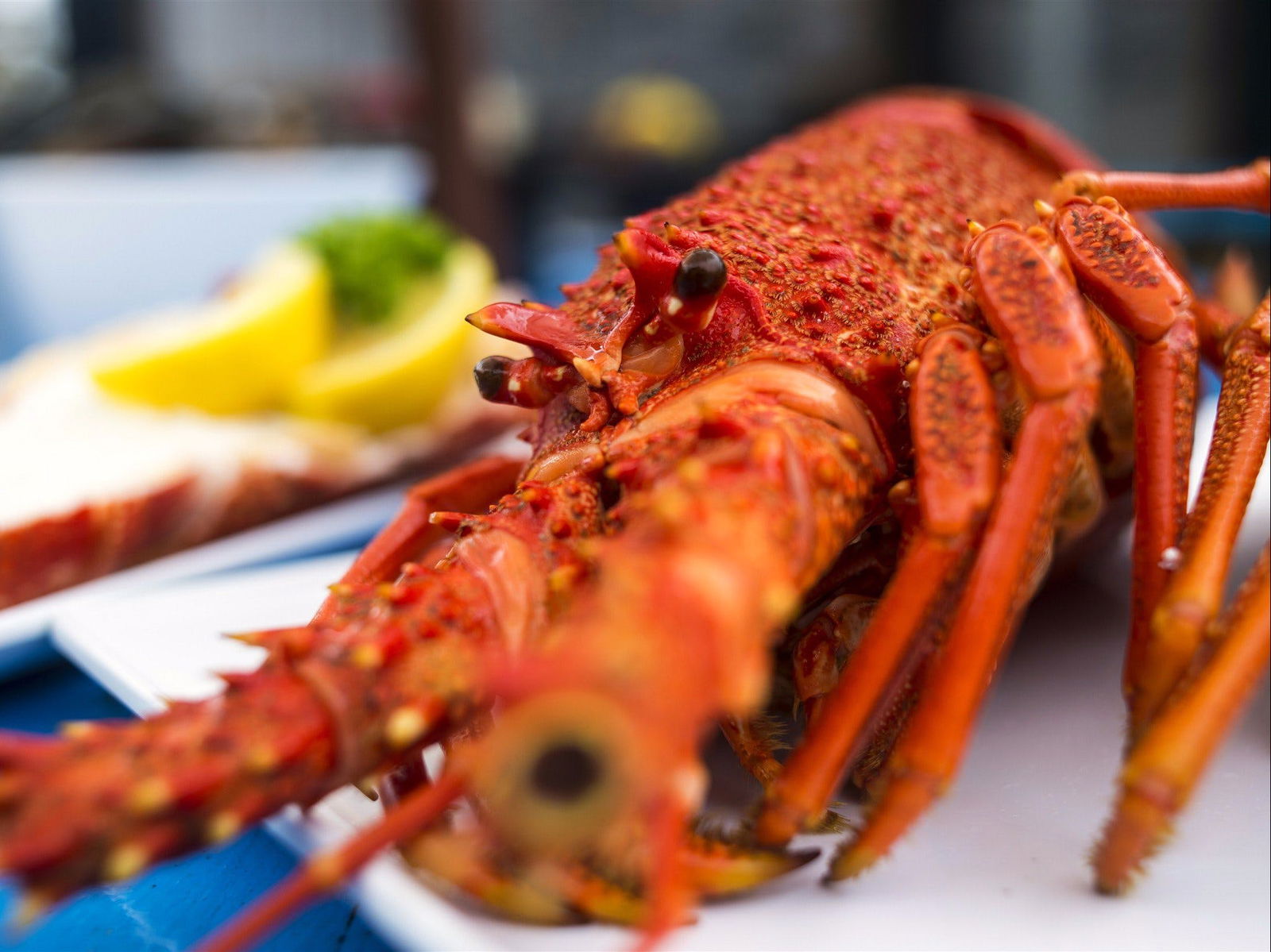 Coles Bay TAS Accommodation Broome