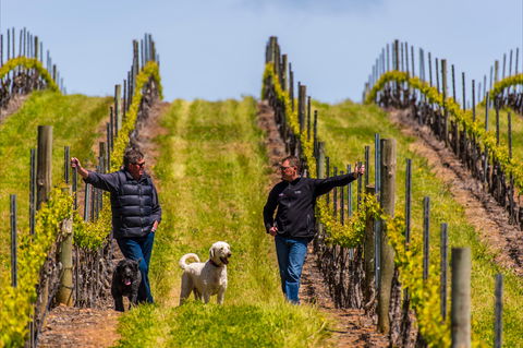 Tim Adams Wines - Accommodation Broome 2