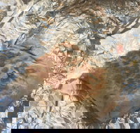 Mad Mex Fresh Mexican Grill - Accommodation Broome